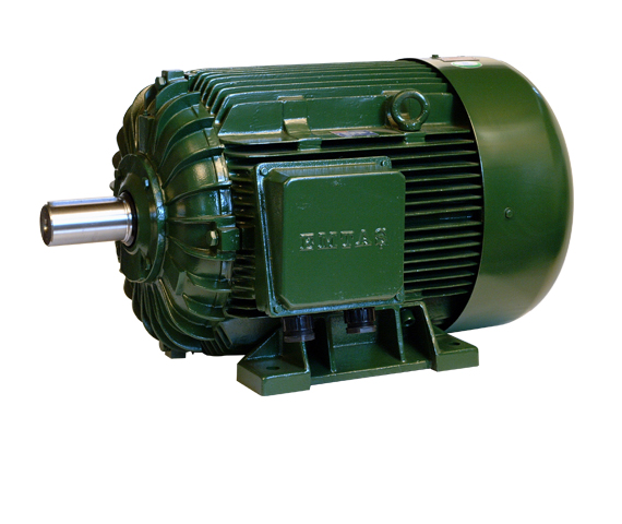 Elektrik Motoru 35 ÇİFT HIZLI MOTOR